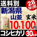 新潟産コシヒカリ 山並 30kg 玄米 H28年産 米 【送料別】