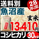 魚沼産コシヒカリ 産直 30kg 玄米 H28年産 米 【送料別】