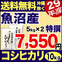 【新米】魚沼産コシヒカリ 特選 10kg(5kg×2) 29年産 新潟産 米 【送料無料】(沖縄を除く)