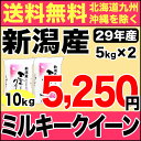 ミルキークイーン 10kg(5kg×2) 29年産 新潟産 米 【送料無料】(北海道、九州、沖縄除く)