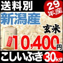 【新米】こしいぶき 30kg 玄米 29年産 新潟産 米 【送料別】