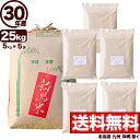 ミルキークイーン 玄米 30年産 新潟産 米 25kg 【送料無料】(北海道、九州、沖縄除く)
