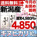 キヌヒカリ 10kg(5kg×2) 30年産 新潟産 米【送...