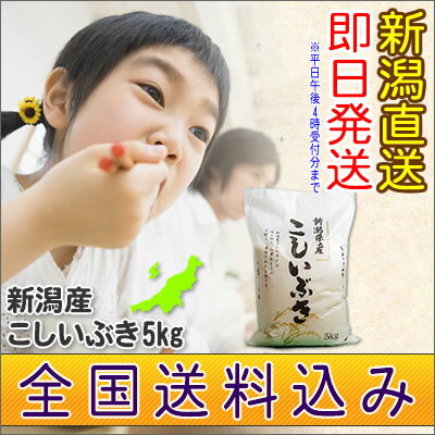 新潟産こしいぶき　5kg【送料無料】23年産新潟県産 コシイブキ新潟米 こしいぶき5キロ