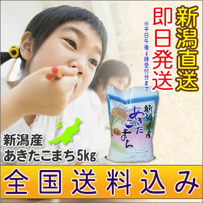 23年産 新潟県産 あきたこまち 5kg 【楽ギフ_のし宛書】新潟産 アキタコマチ 秋田小町【あす楽対応】【あす楽_土曜営業】米 新潟【after0307】あきたこまち/アキタコマチ/秋田小町/送料無料/新米/新潟【あす楽_土曜営業】【楽ギフ_のし宛書】