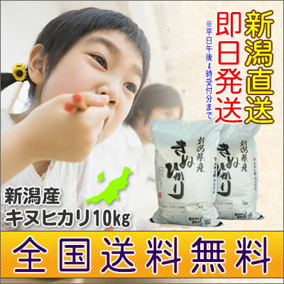 22年産】新潟産キヌヒカリ5kgx2袋（10kg）10万kg！お茶碗100万杯分が完売！