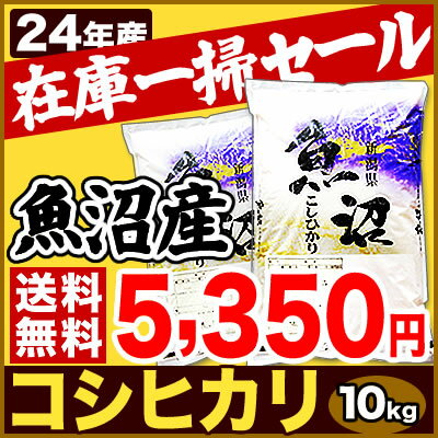 魚沼産コシヒカリ　10kg 送料無料 24年産訳あり魚沼産こしひかり在庫一掃 処分訳あり 魚沼産こしひかり/魚沼産コシヒカリ/こしひかり/コシヒカリ/魚沼米/24年産/新潟/送料無料/米