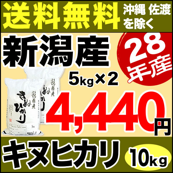 新米 28年産 キヌヒカリ 新潟県産 10kg（5kg×2袋）【送料無料】（沖縄・佐渡を除く）【10月26日発送予定】 ランキングお取り寄せ