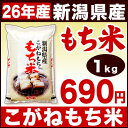 新潟県産 もち米 こがねもち米 白米 26年産 1