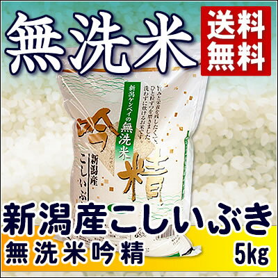 23年産無洗米吟精　新潟こしいぶき5kg【送料無料】コシイブキ【SBZcou1208】