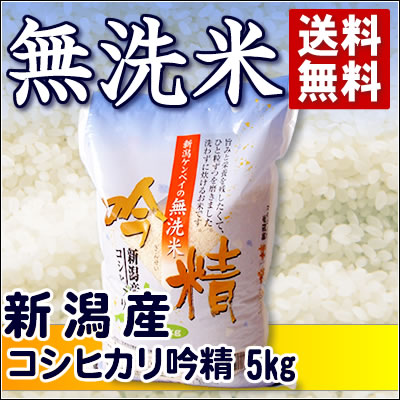 23年産無洗米吟精　新潟コシヒカリ5kg【送料込】