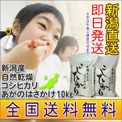 【新潟産】自然乾燥あがの産こしひかり 米 10kg（5kgx2袋）23年産 新潟県産 はさかけ米【送料無料】新潟米 あがの自然乾燥こしひかり津川/三川村/東蒲原