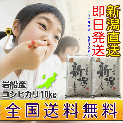 【岩船産】岩船産こしひかり 米 10kg（5kgx2袋）23年産 新潟県産 地域限定【送料無料】新潟米 岩船産こしひかり関川村/朝日村/村上市/山北町