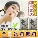 【新潟産】栃尾産こしひかり 米 10kg（5kgx2袋）23年産 新潟県産 栃尾米【あす楽対応】【送料無料】新潟米 栃尾産こしひかり【楽ギフ_のし宛書】栃尾/名水百選/杜々の森新潟産こしひかり/新潟産コシヒカリ/こしひかり/コシヒカリ/栃尾米/名水百選/杜々の森/送料無料【あす楽_土曜営業】【楽ギフ_のし宛書】