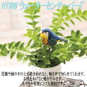 エイチツーオー H1509 ウォーターセンサーバード 4種アソート H-1509【メーカー直送】【代引き/同梱不可】【オーナメント/園芸置物/インテリア置物】