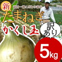 淡路島新たまねぎかくし玉【訳あり】5kg #かくし玉訳あり5K#たまねぎ