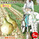 たまねぎかくし玉 小粒、S、2Sサイズ 5kg【たまねぎ】#かくし玉 Sサイズ5K#たまねぎ たまねぎ たまねぎペコロス