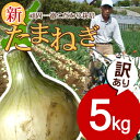 【送料無料】【訳あり】淡路島新たまねぎ5キロ 【タマネギ】た...