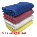 バスタオル 卒業宣言 2枚組 約33x100cm おぼろタオ...
