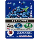 キャンディサプリ 1日分の鉄 64g アサヒG食品 菓子 asahi