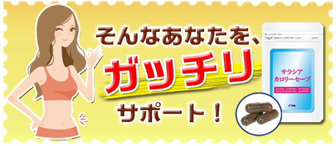 サラシア ギムネマ ダイエット サプリ サプリメント 糖質 「サラシアカロリーセーブ」 キトサン配合 甘いもの、炭水化物が大好きな方に！【送料無料】