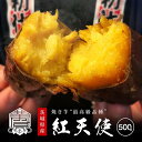 紅天使 焼き芋 冷凍 さつまいも 茨城産 送料無料【お試し500g】