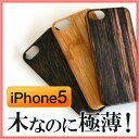 yiPhone5 P[XzyTzFitsPod EbhVF for iPhone5 ؐ VR | ACtH5 P[X Jo[ X}zP[X [ցiBjz 