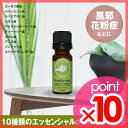 【ポイント10倍+最大500pt】花粉症 風邪 アロマオイル ブリーズイージー エッセンシャルオイル パーフェクトポーション アロマセティカルズ 110814BE-FW