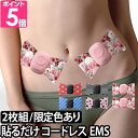 ルルド シェイプアップリボン ems 2個セット ダイエット...