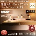 組立設置付 モダンライトガス圧式跳ね上げ収納ベッド Lunalight ルナライト 薄型スタンダードポケットコイルマットレス付き 縦開き セミシングル 深さレギュラー