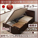 お客様組立 国産跳ね上げ収納ベッド Clory クローリー 薄型プレミアムボンネルコイルマットレス付き 横開き シングル 深さレギュラー日本製ベッド 国産ベッド 日本製 高級ベッド