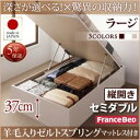 お客様組立 国産跳ね上げ収納ベッド Regless リグレス 羊毛入りゼルトスプリングマットレス付き 縦開き セミダブル 深さラージ日本製ベッド 国産ベッド 日本製 フランスベッドマットレス 国産マットレス 日本製マットレス