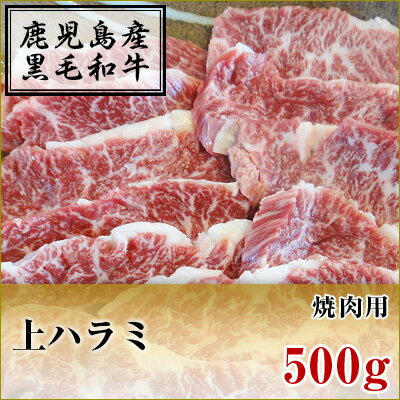 黒毛和牛　上ハラミ　焼肉用　【500g】