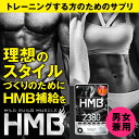 【HMB 2380】サプリメント【送料無料】HMBCa 2,380mg配合！ BCAA ワイルドビルドマッスル エイチエムビー HMBカルシウム HMB2380 増強 hmb プロテイン 筋トレ