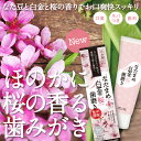 歯磨き粉 なた豆 はみがき粉 口臭 ネバつき 歯石 プラチナ すっきり さくらの香り【なたまめ白金桜歯磨き】【日本製】【4,800円以上で送料無料】