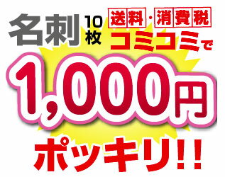 1000円ポッキリ名刺★送料無料！（メール便のみ）