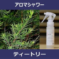 ［アロマシャワー］ティートリー 50ml（PET／トリガースプレー） 【IST】...:inscent:10005363