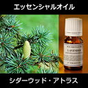 シダーウッド 50ml〜エッセンシャルオイル/精油/アロマオイル〜(日本アロマ環境協会/表示基準適合認定精油/インセント) 【IST】