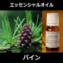 パイン 10ml〜エッセンシャルオイル/精油/アロマオイル〜(日本アロマ環境協会/表示基準適合認定精油/インセント) 【IST】