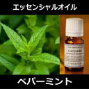 ペパーミント 100ml〜エッセンシャルオイル/精油/アロマオイル〜(日本アロマ環境協会/表示基準適合認定精油/インセント) 【IST】