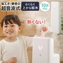 【P10倍★本日20:00〜23:59限定】 加湿器 上から...