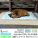 ybg}bg Ђh N[ Lg}bg 63cm~83cm 1cm LTCY 2F moscape COOL ⊴}bg p}bg Lp}bg Ԃ}bg ^ ^ ^  V L ⊴ z h   킢 ybgV[g IDOG&ICAT