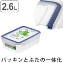 保存容器 イージーケアタイト 2.6L プラスチック製 密閉型 抗菌 電子レンジ対応 ( プラスチック保存容器 密閉容器 レンジ対応 冷凍OK 長期保存 冷凍庫 電子レンジ 食洗機対応 パッキン一体型 4点ロック 作り置き 小分け保存 )【5000円以上送料無料】