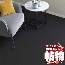 カーペット 激安 通販 カット無料 シンコール カーペット マット CM−8085(ニューコスモ) ロック加工 ラグ マット(横200×縦300cm)