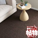 カーペット 激安 通販 カット無料 シンコール カーペット マット SB−8861(ニュースプレRB) 切りっぱなし ラグ マット(横200×縦200cm)