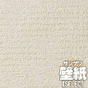 【壁紙 クロス 送料無料】サンゲツの壁紙!XSELECT エクセレクト SHITSURAHI 土 / 珪藻土 SGB2281 10m以上1m単位で販売