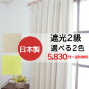 ノイエ カーテン ドレープ 形状記憶 2倍ヒダ A価格 クエストII 幅150×丈140cmまで