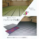 極東産機 リバーシブル畳 ヘリ付き い草表/樹脂表 本間間 半帖 カットパイル TJ19061
