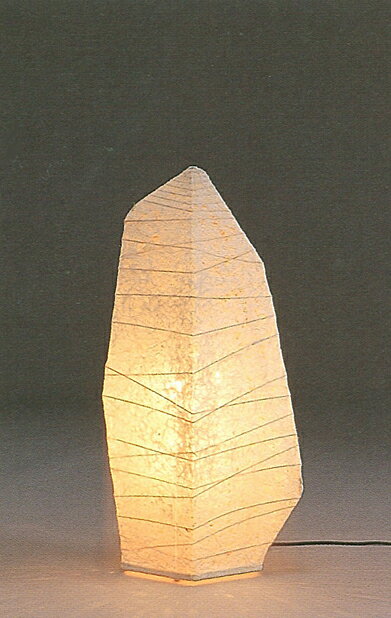 aX^hS|885FG