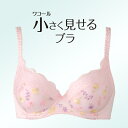 [ワコール]小さく見せるブラBRB422-ブラジャー単品DEFカップ・アンダー65-85≪最大ポイント19倍(-2/11AM9:59)※要レビュー≫≪楽天最安値に挑戦！≫